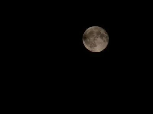 🌙Оленью луну можно будет наблюдать в ближайшие дни

"Оленья луну" наступит в среду, 29 июля в 17:36