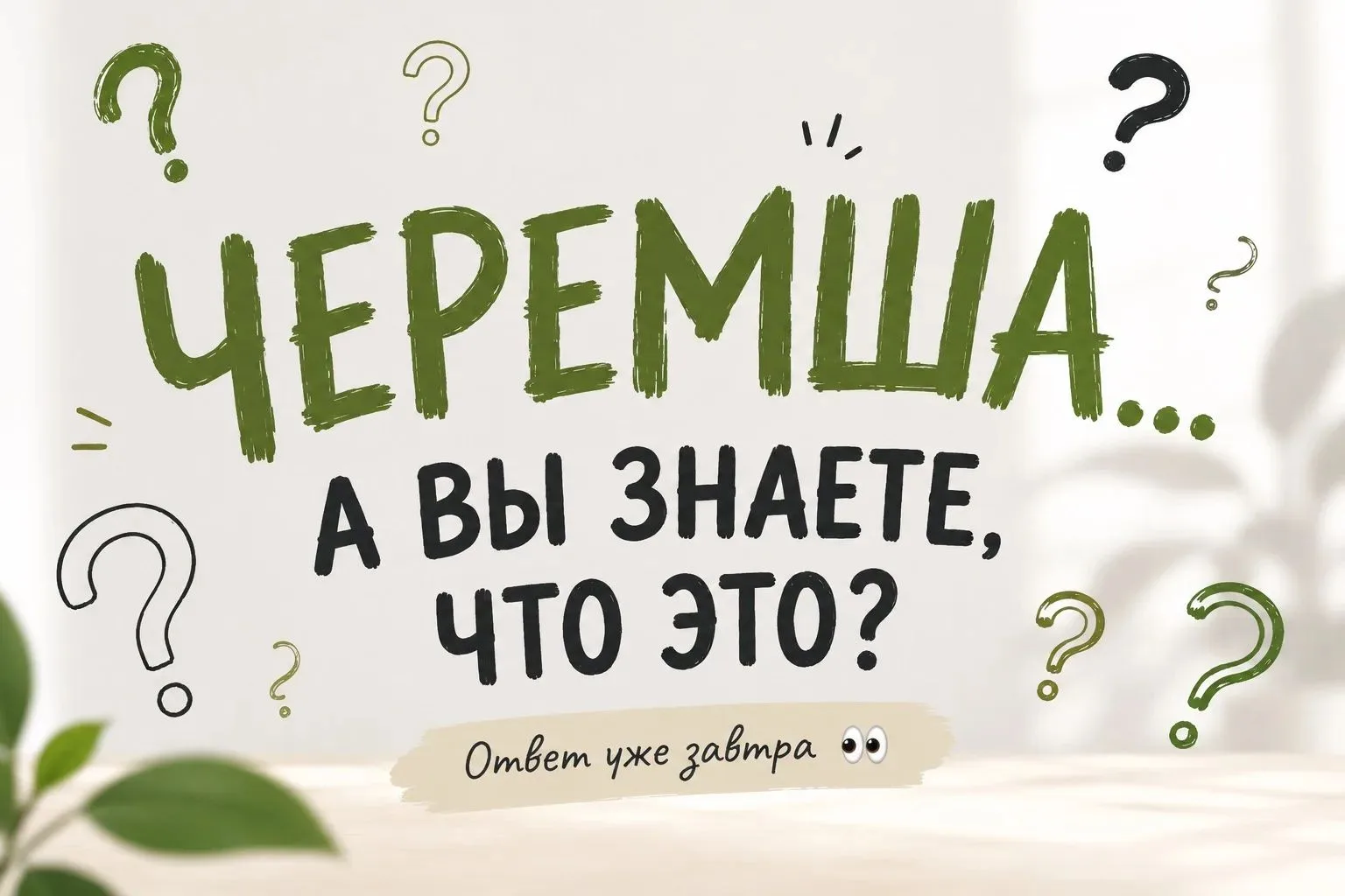 🤔 Черемша… А вы знаете, что это такое?

Последние время это слово буквально захватило интернет. Его