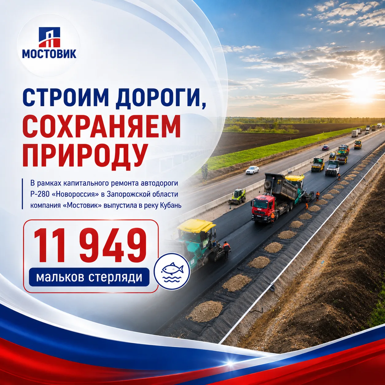 🏞 Строим дороги — сохраняем природный баланс
