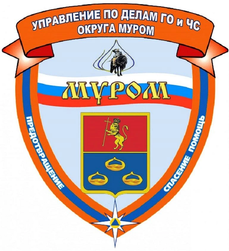 Полезная информация 📢