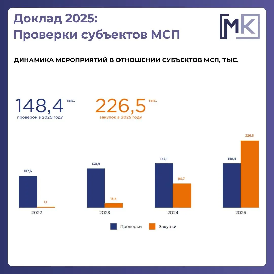 Доклад о госконтроле-2025