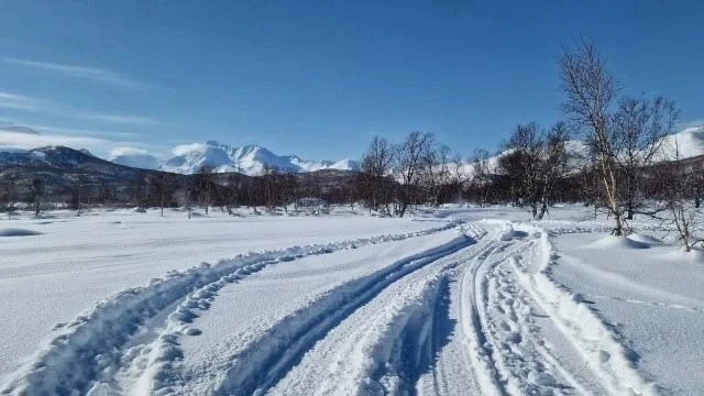 Семь туристов без палаток и снаряжения пропали на Камчатке