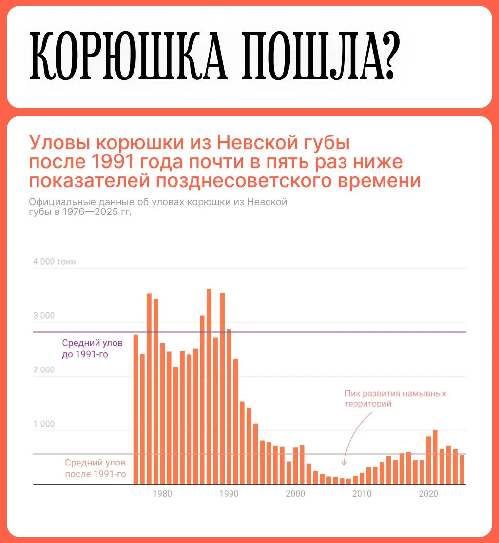 🐟 Депрессивная корюшка: что происходит с главной петербургской рыбой? Почему ее уловы упали в нескол