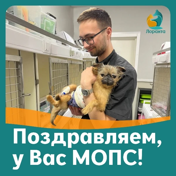 Поздравляем, у Вас МОПС!