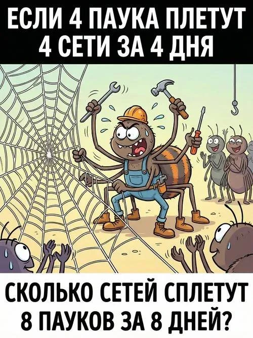 🙂🖐 Сколько сетей сплетут 8 пауков за 8 дней?