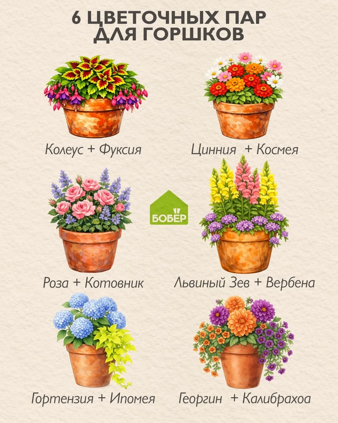 Цветочные дуэты, которые созданы друг для друга 😊