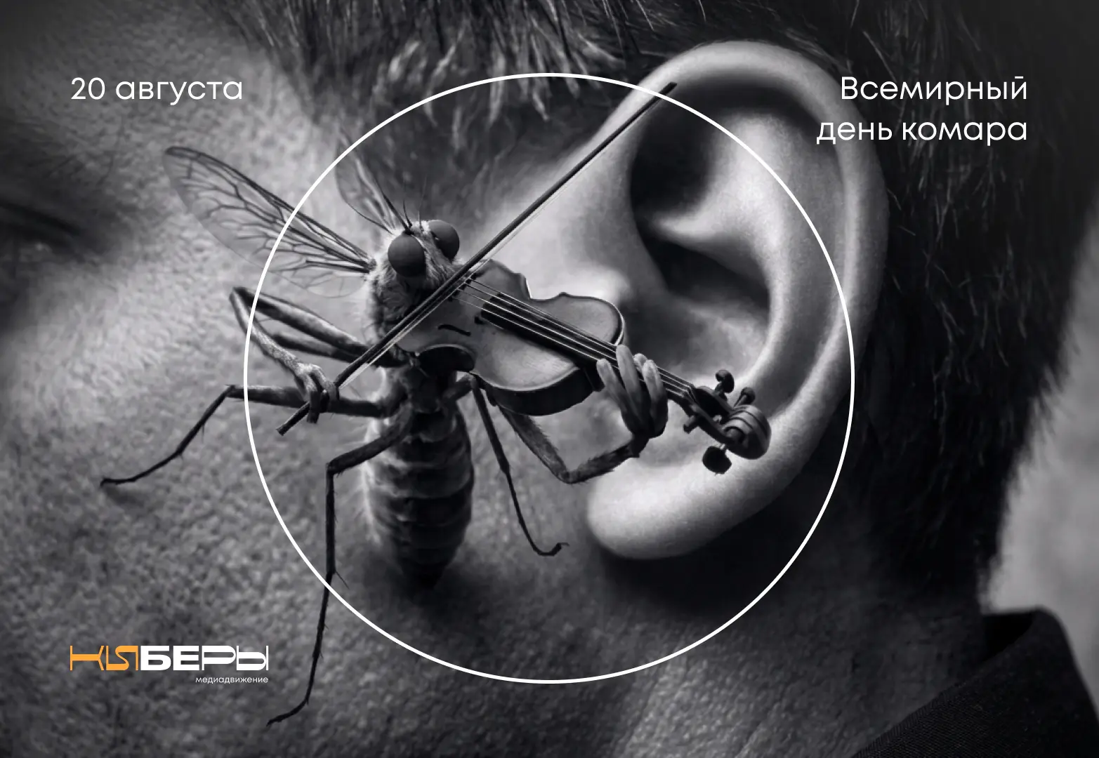 Сегодня, 20 августа, отмечается Всемирный день комара. И появился он вовсе не для того,...
