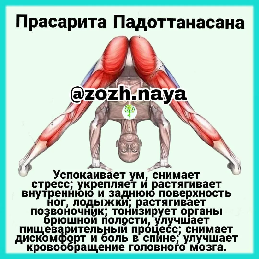 ✅Успокаивает ум, снимает стресс; укрепляет и растягивает внутреннюю и заднюю поверхность ног, лодыжк