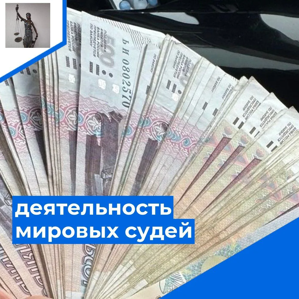 Жительница Немецкого национального района осуждена за серию мошеннических займов