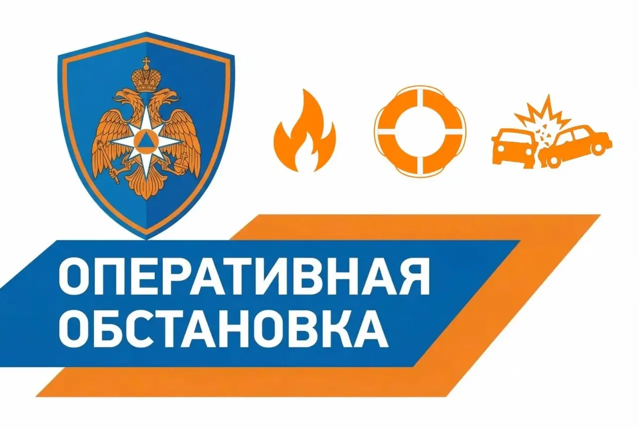 🚨 За минувшую неделю (с 8 по 14 июня) в Тверской области: