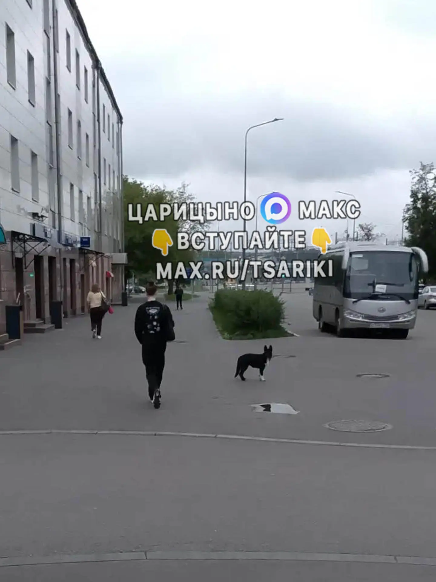 От подписчика:

Щенок бегает у метро Царицыно, со стороны ВТБ. Может кто потерял?

Подслушано Царицы