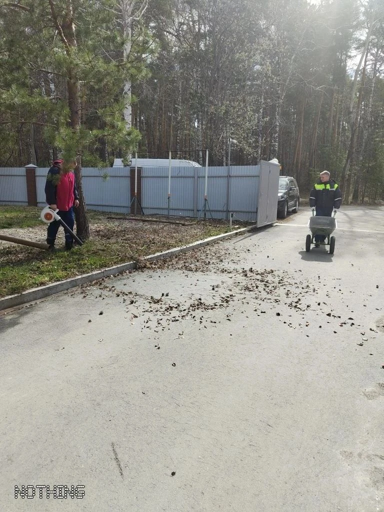По всей стране прошёл масштабный Всероссийский субботник