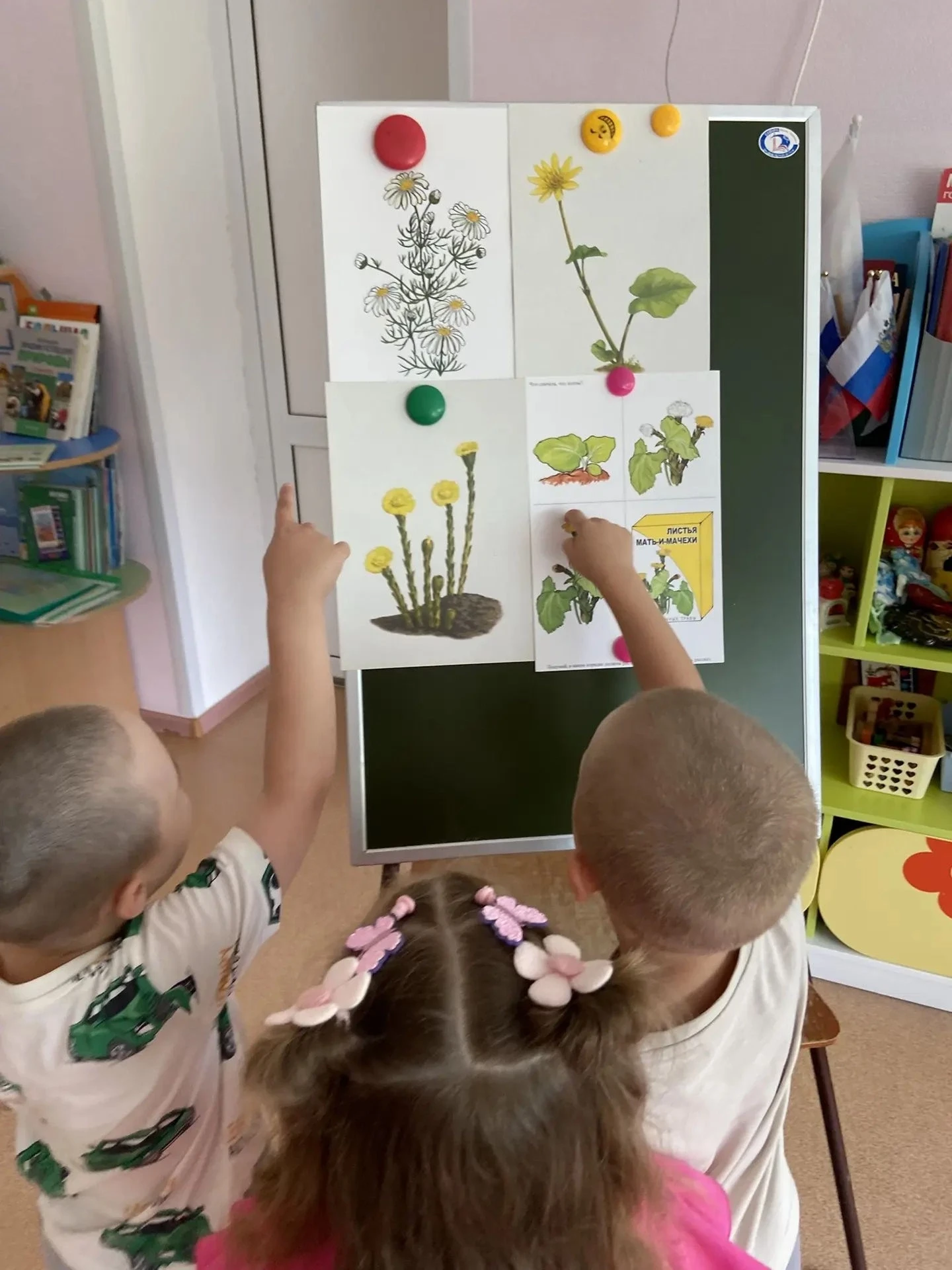 День растений 🌱

Сегодня в средней группе «Пчелки 🐝» состоялся важный тематический день, посвященн