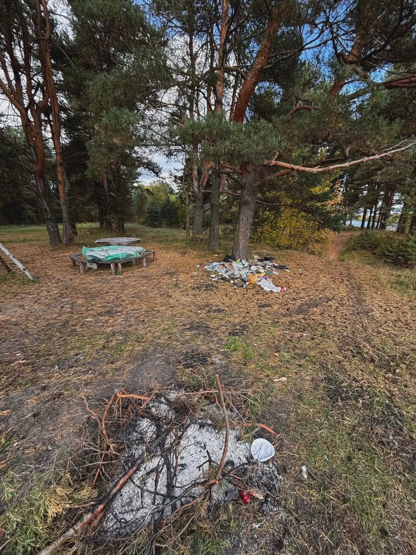 🚯 Отдыхающие не убирают за собой на берегу Клязьмы