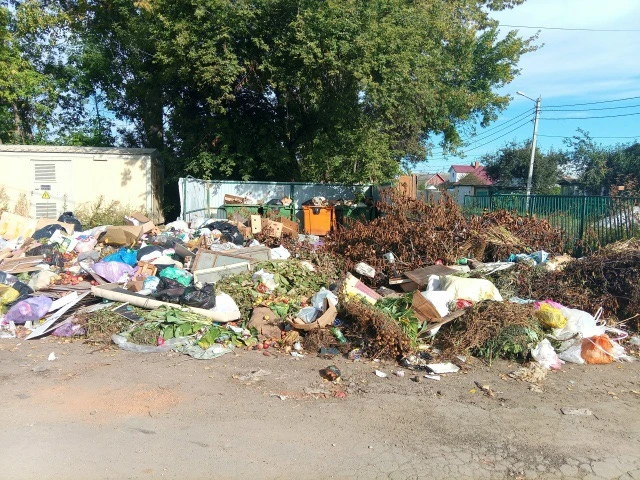 Трудовая 2/40 . Мусор не вывозят 🚮