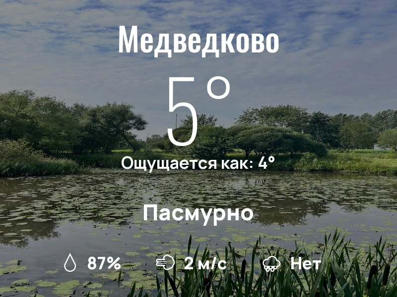 Что с погодой в Медведково?