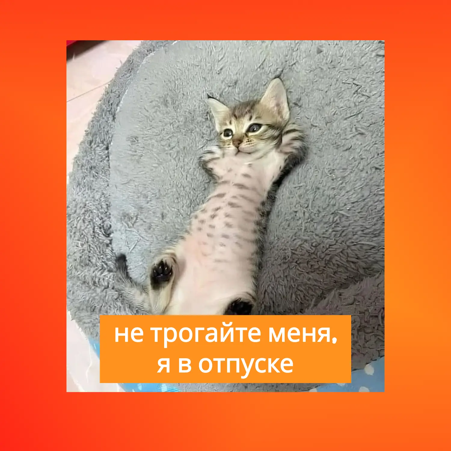 А вы успеваете отдыхать этим летом?