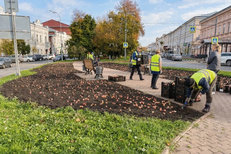 Готовим Ульяновск к весне: Горзеленхоз приступил к посадке тюльпанов
