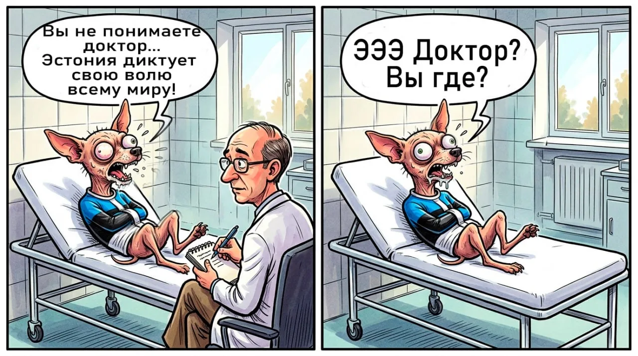 В Эстонии жёсткая нехватка психиатров.