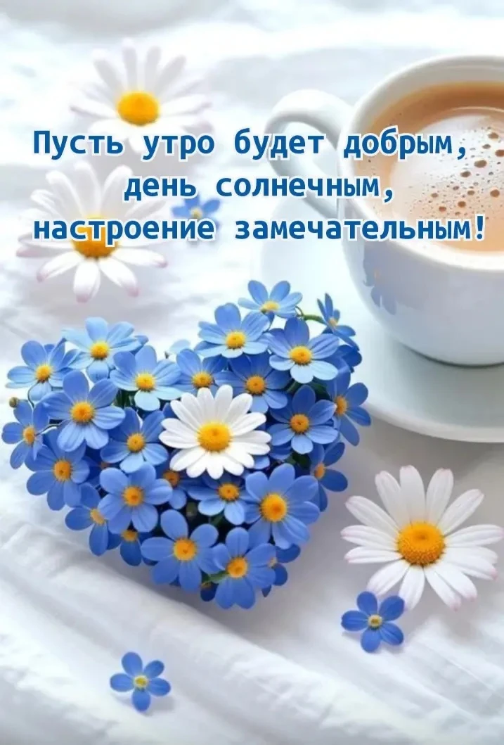 Изображение 1 к публикации «🌺ОТКРЫТКИ И ПОЗДРАВЛЕНИЯ🌺»