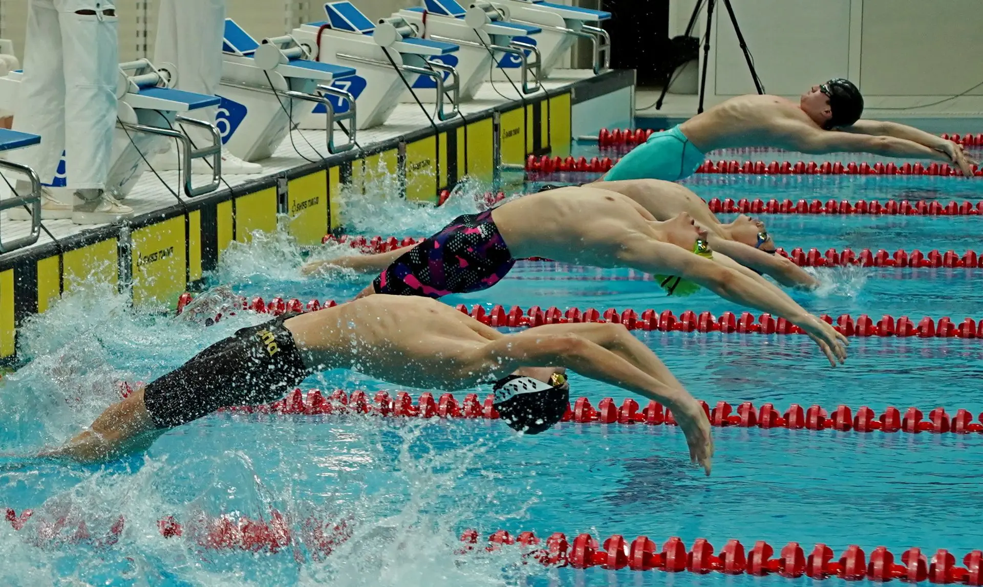 Грядёт масштабная заруба 🏊‍♂️