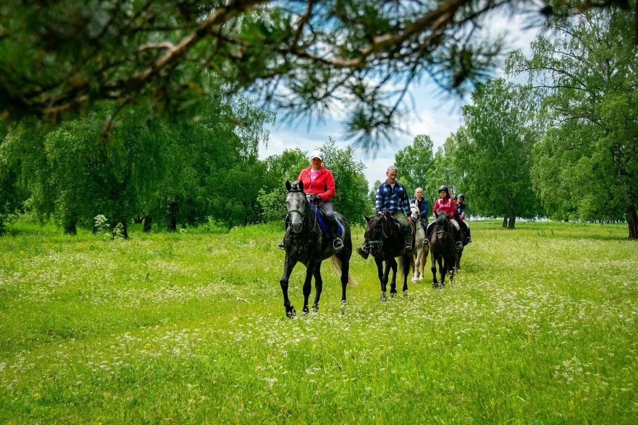 ❤️Откройте для себя уникальные маршруты по Маслянинскому округу, погрузитесь в богатую ...