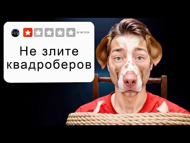 Изображение 1 к публикации «Домер ✓»