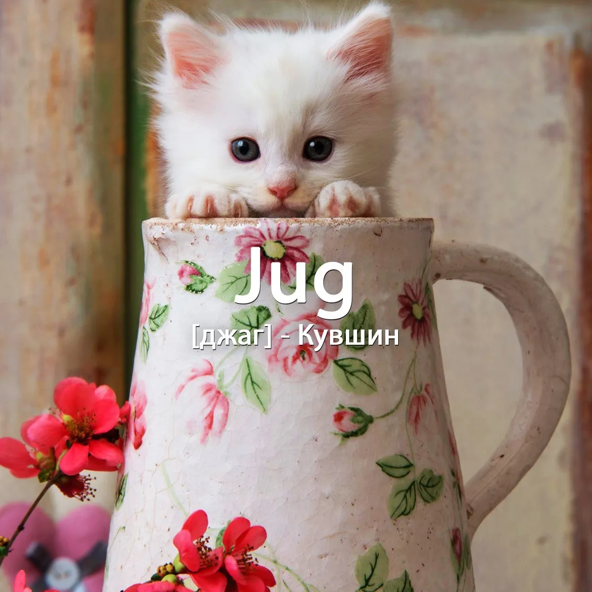 Другие значения слова: тюрьма, щёлканье, тушить.

Примеры:
There is a jug of fresh milk on the table