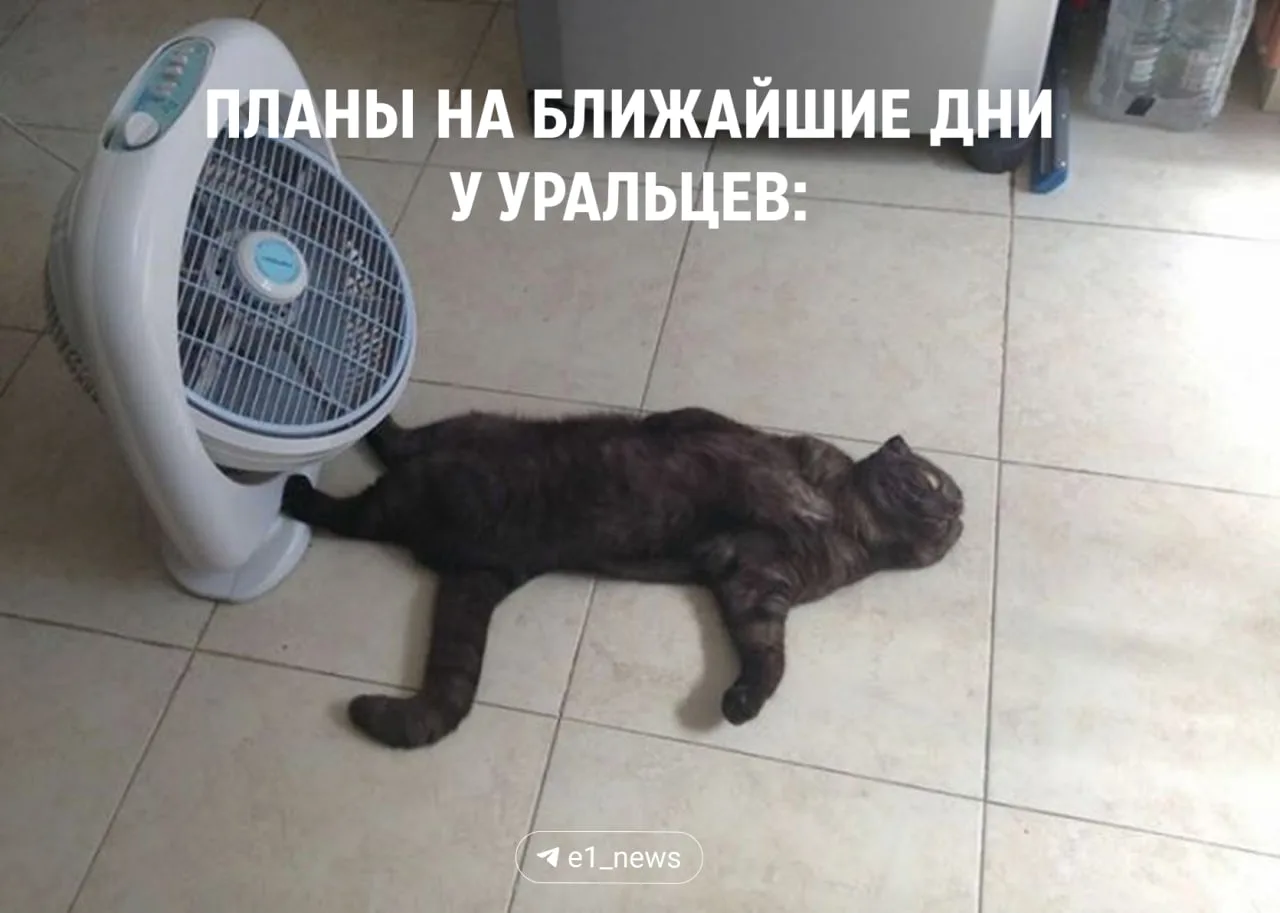 Уже успели устать от жары?   😱 — да 🔥 — нет! Пусть и будет такая погода   Пекло побудет с нами еще н