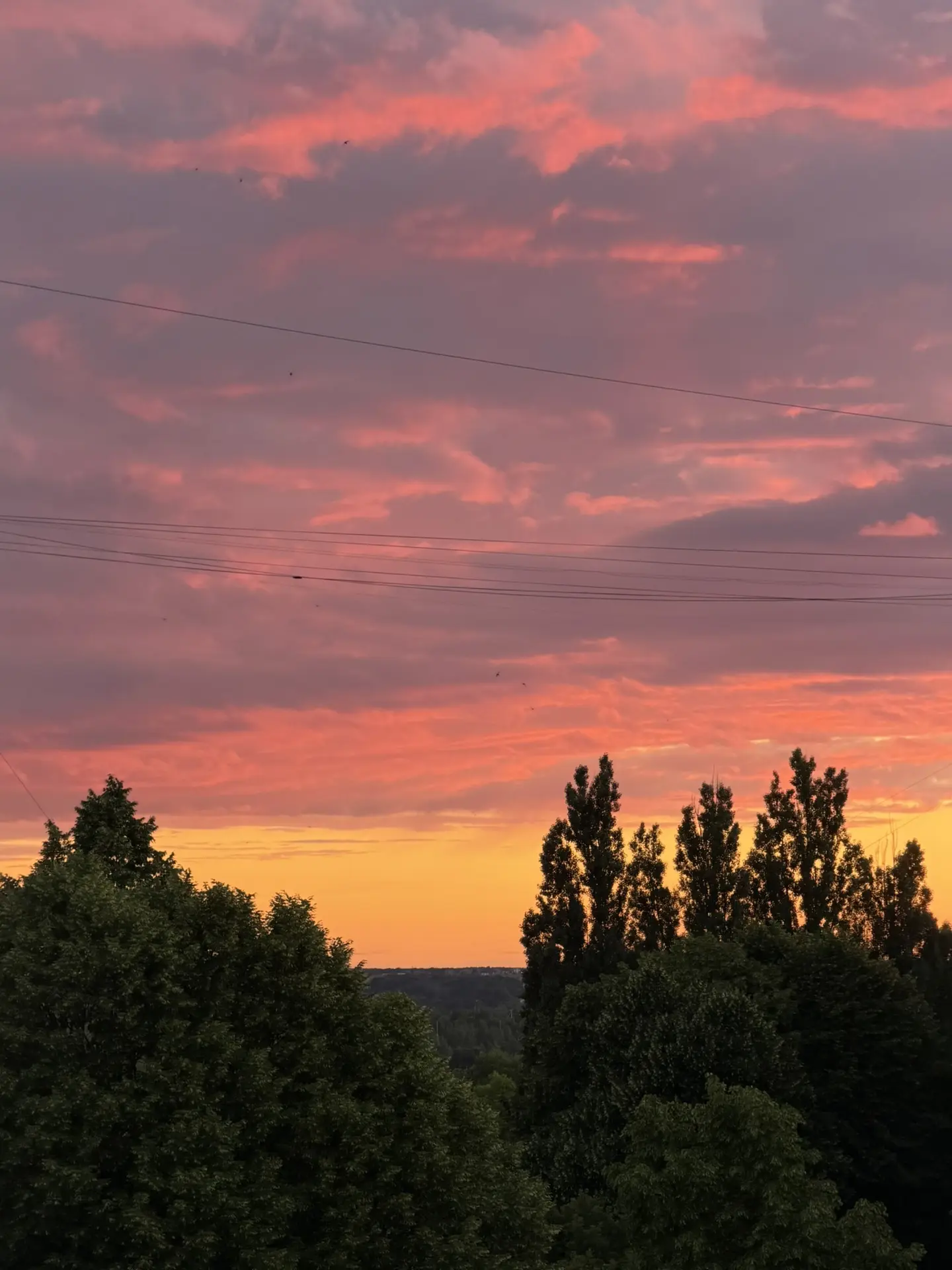 Сегодня вновь был невероятный летний закат🌅

Собрали для вас подборку красивого неба из разных угол