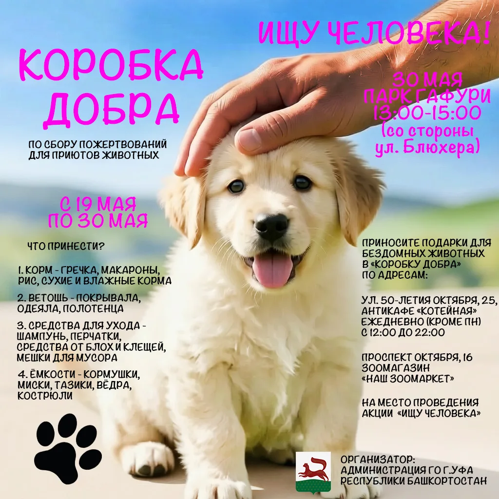 🐾 «Ищу человека»: подари дом или позаботься о своём питомце бесплатно