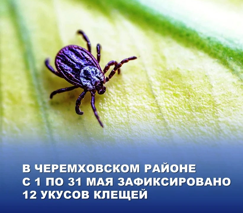 ⚠️ По данным Черемховского отдела Роспотребнадзора за прошедший май на территории Черем...