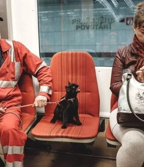 У - утренний позитив