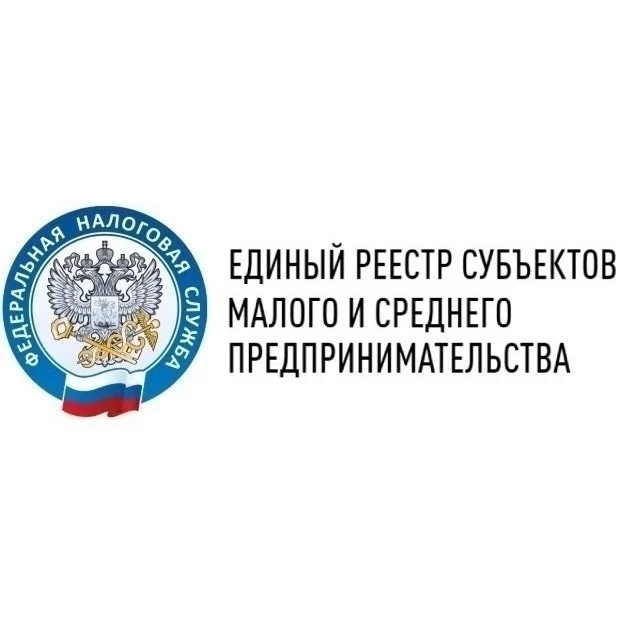ЕДИНЫЙ РЕЕСТР СУБЪЕКТОВ МАЛОГО И СРЕДНЕГО ПРЕДПРИНИМАТЕЛЬСТВА