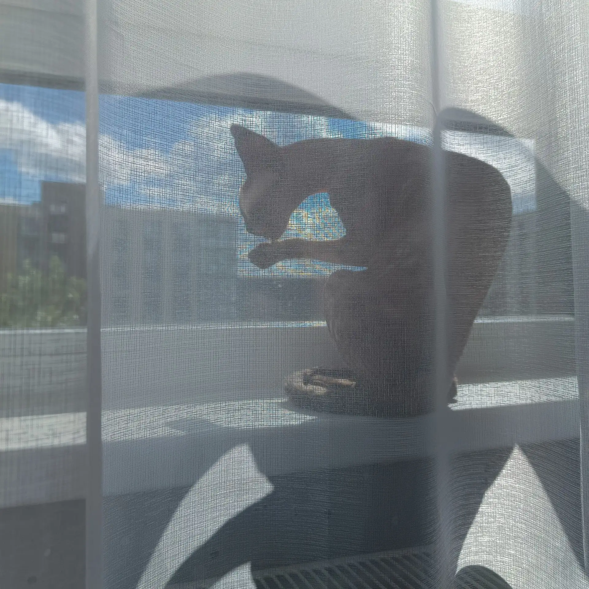 Вот и настоящее солнышко ☀