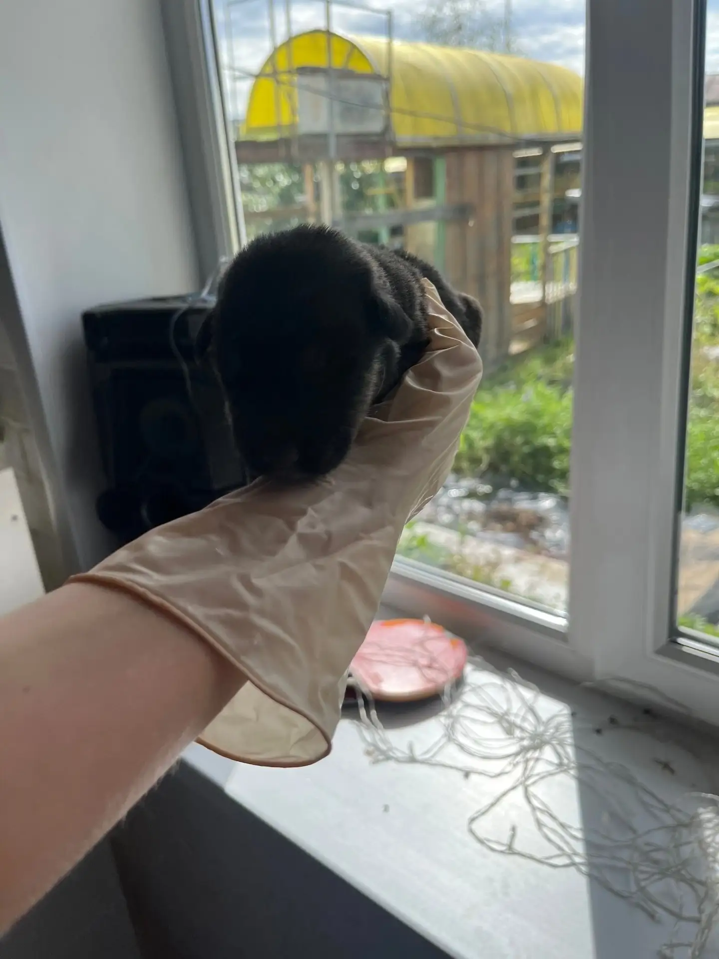 ❤️ НУЖНА ПЕРЕДЕРЖКА или сразу 🏠 ❤️