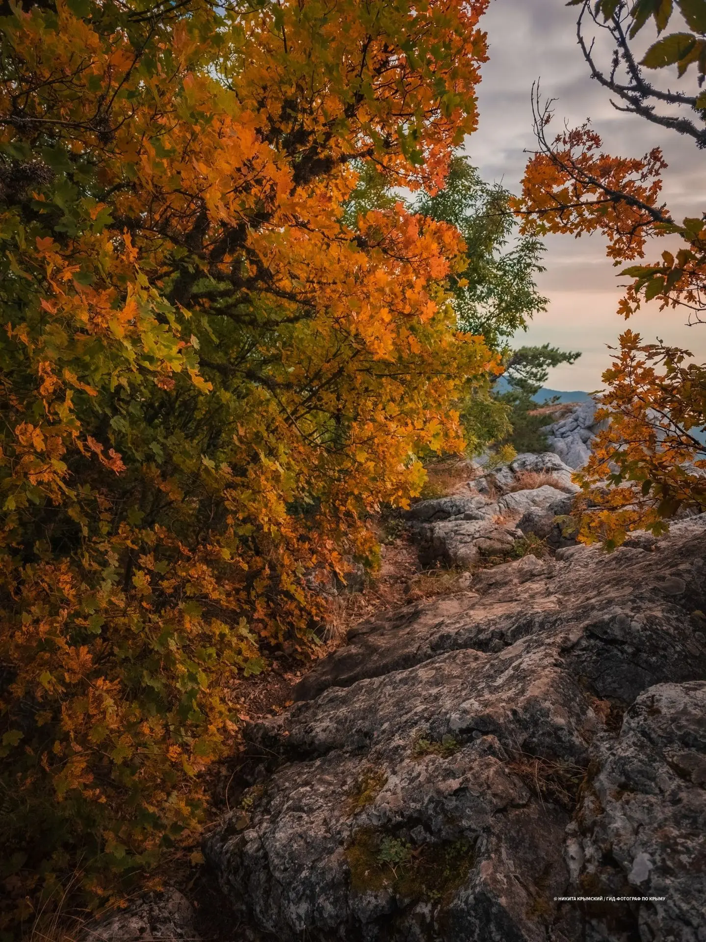 Осенние краски рассветного тура на Ай-Петри📸