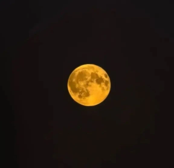 🌕Над Октябрьским взошла Оленья Луна

Сегодня, 29 июля, можно наблюдать  июльское полнолуние, которо