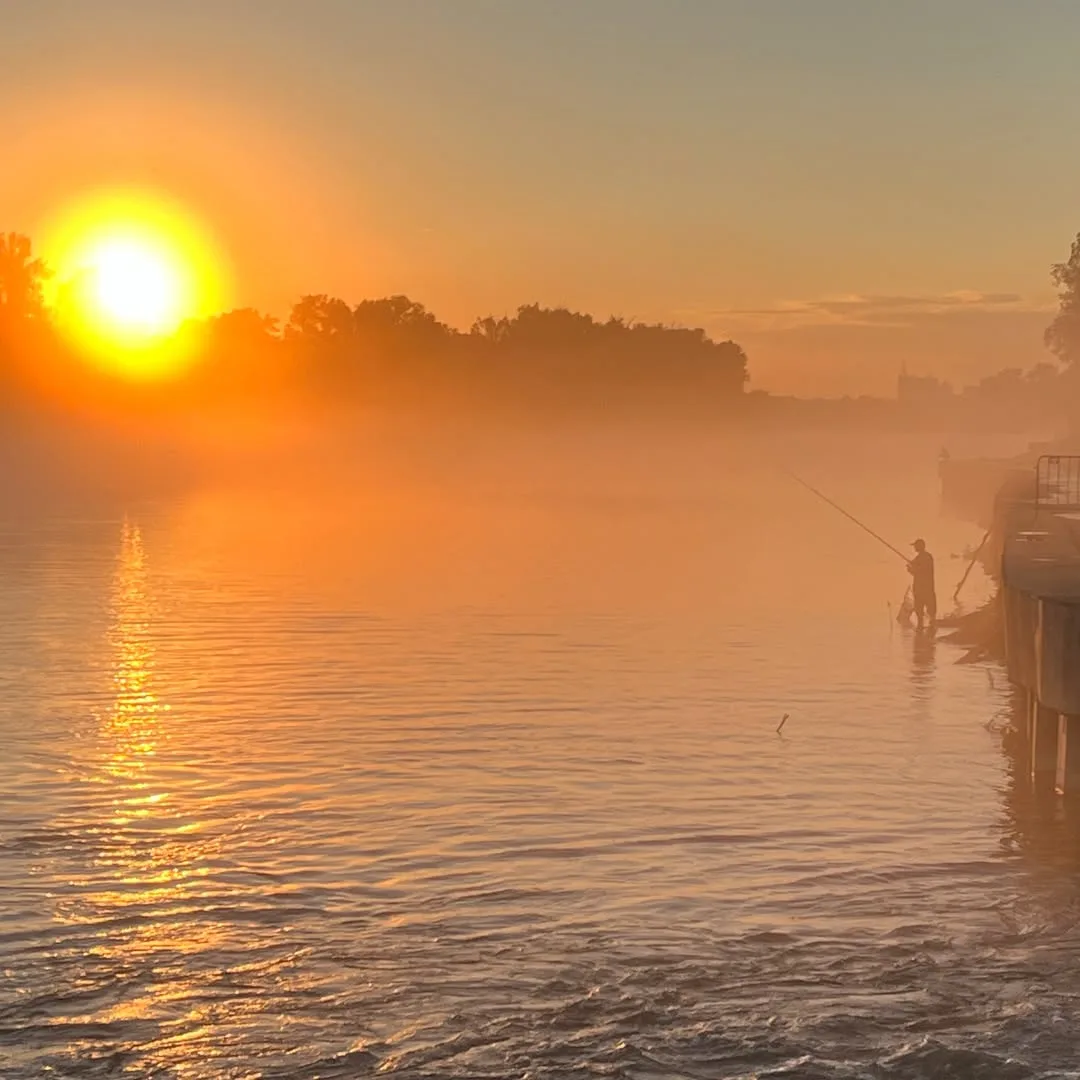 Приятного вечера, Инорс🌅

📸Саша Джиг👍