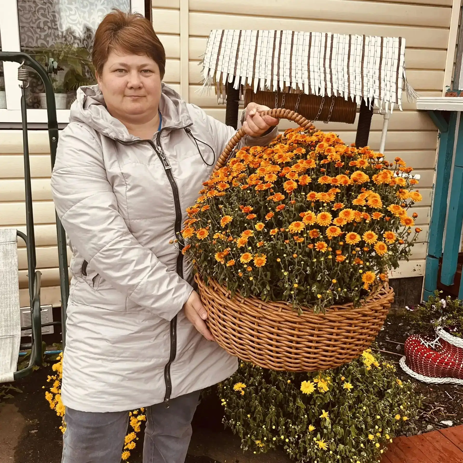 🍂🌼 Осеннее волшебство в саду  хризантемы мультифлора от Елены Гриценко 🌼🍂