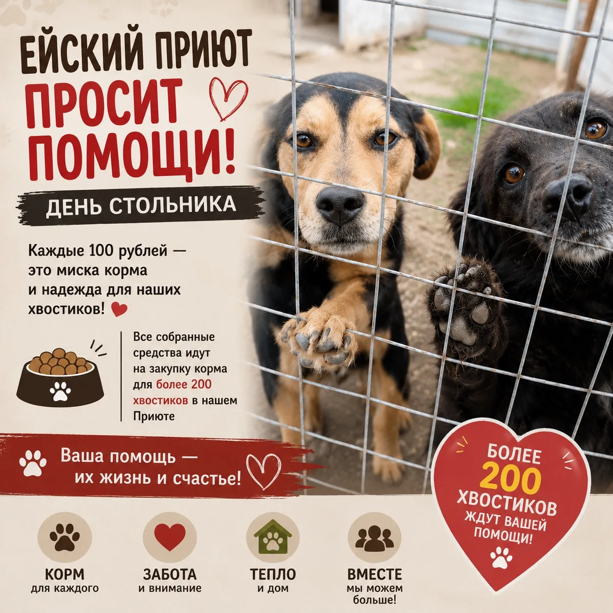 🙏Помогите пожалуйста собрать на корм для жителей приюта