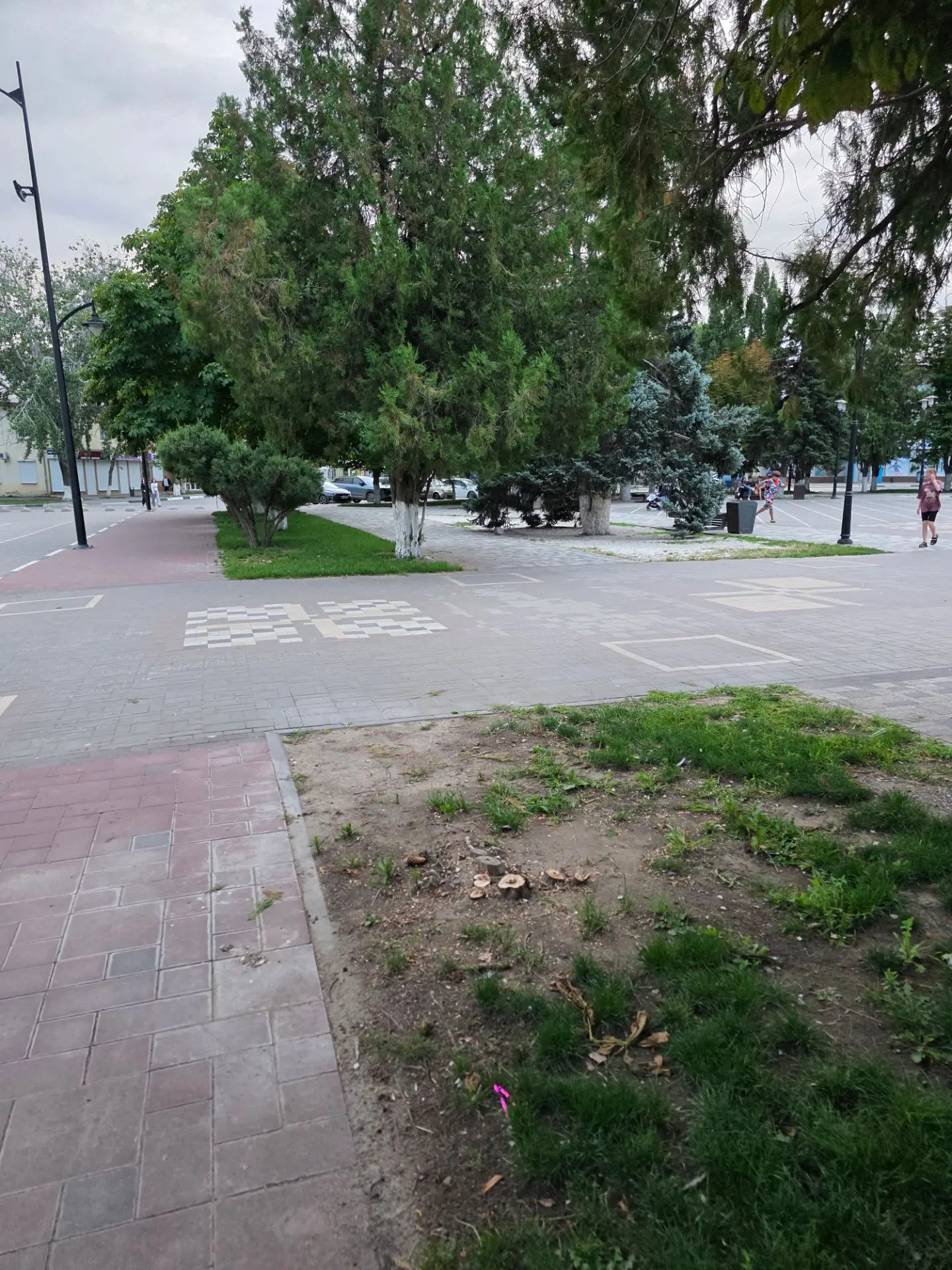 ❗️После нашего поста о засохших туях на Театральной площади, их срезали

Вопрос, почему нельзя было 