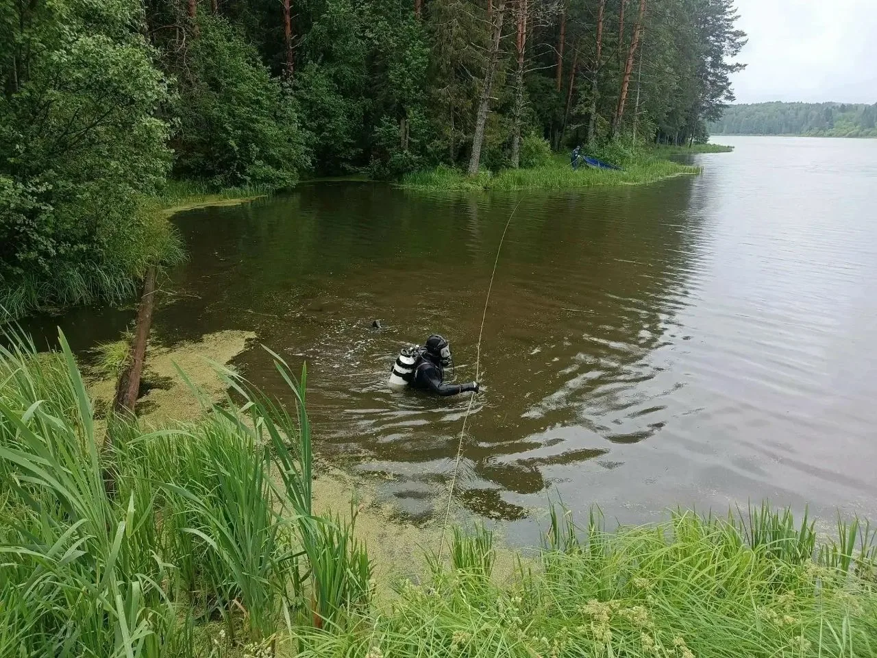 ⚠️ В Красногорском районе на пруду погиб мужчина

Трагедия произошла 17 июня в деревне Артык. Двое м
