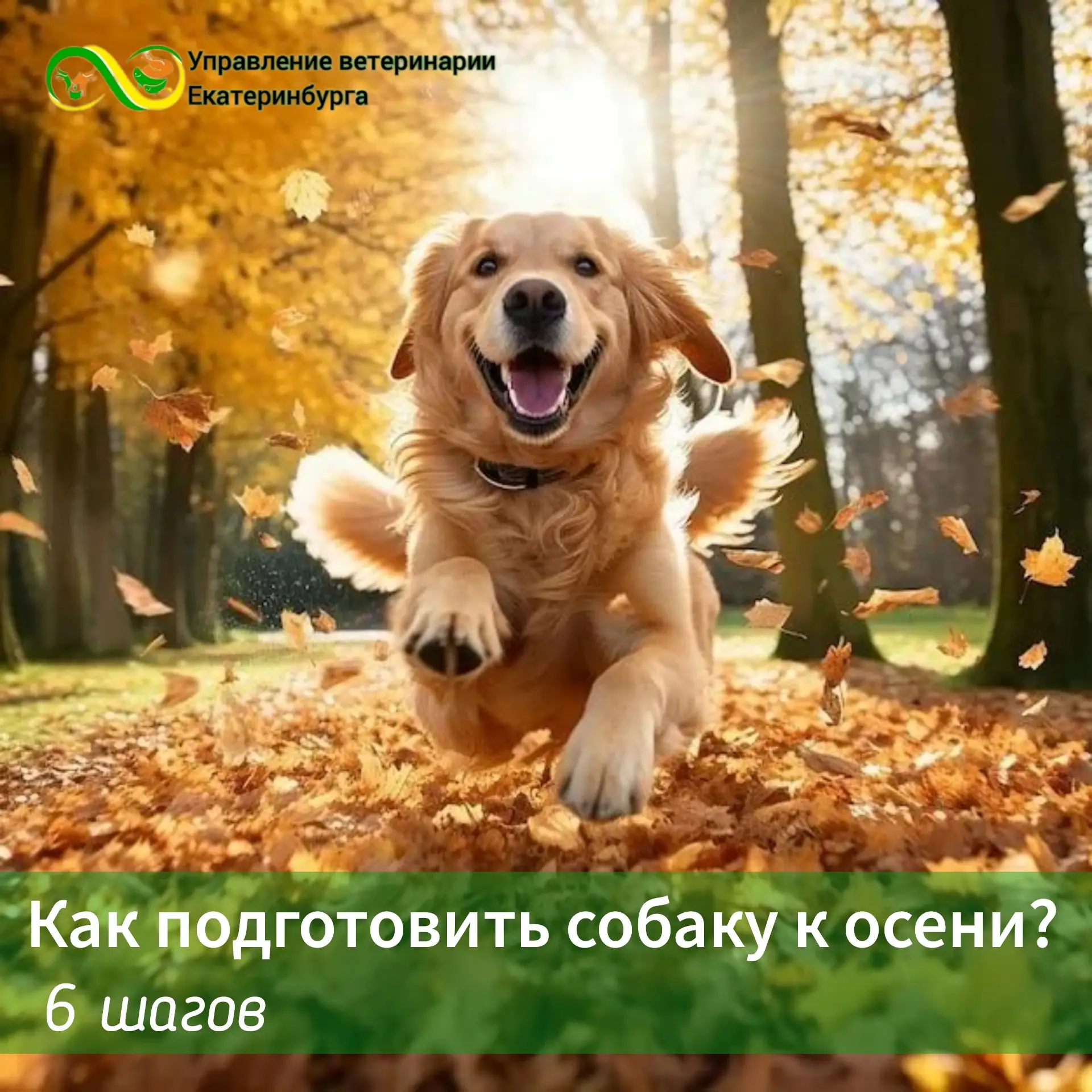 Чувствуете?.. Наступает осень 🍂 Что нужно успеть сделать, чтобы это время принесло и в...