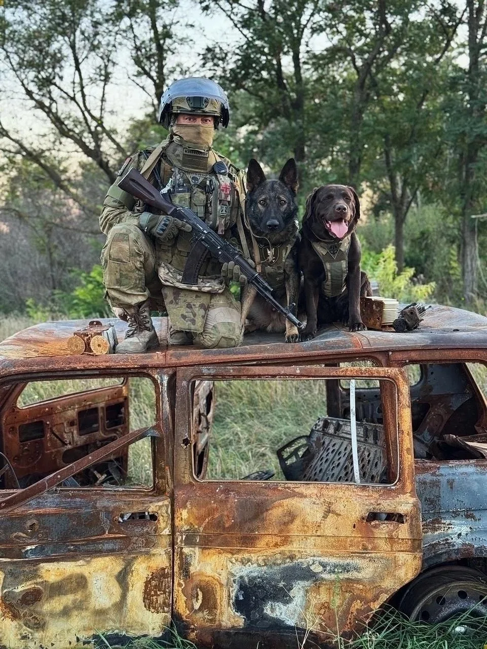 🇷🇺Настоящая команда: боец и два хвостатых напарника 🐾