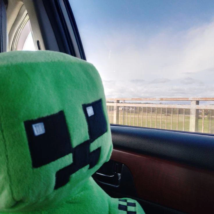 Есть вещи в Minecraft, которые раздражают почти всех игроков.

Например:

❤️—крипер за спиной
🌚—ске