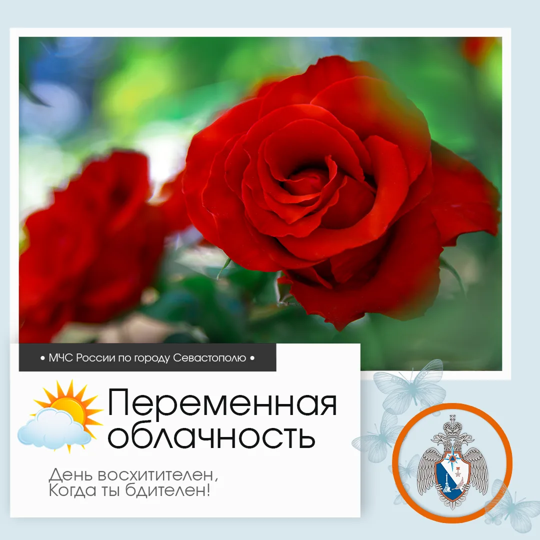 ⛅️ Здравствуй, Севастополь!