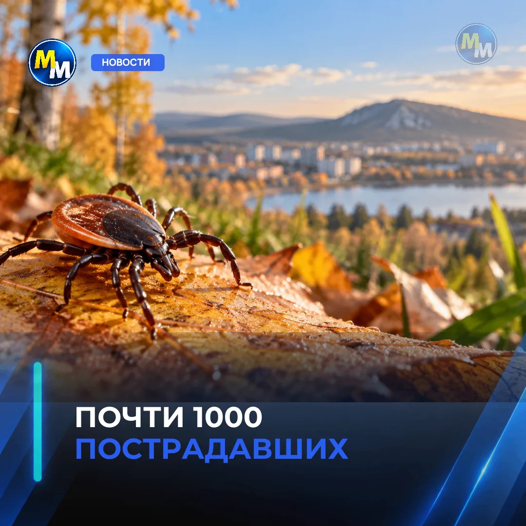 Клещей в Миассе стало меньше