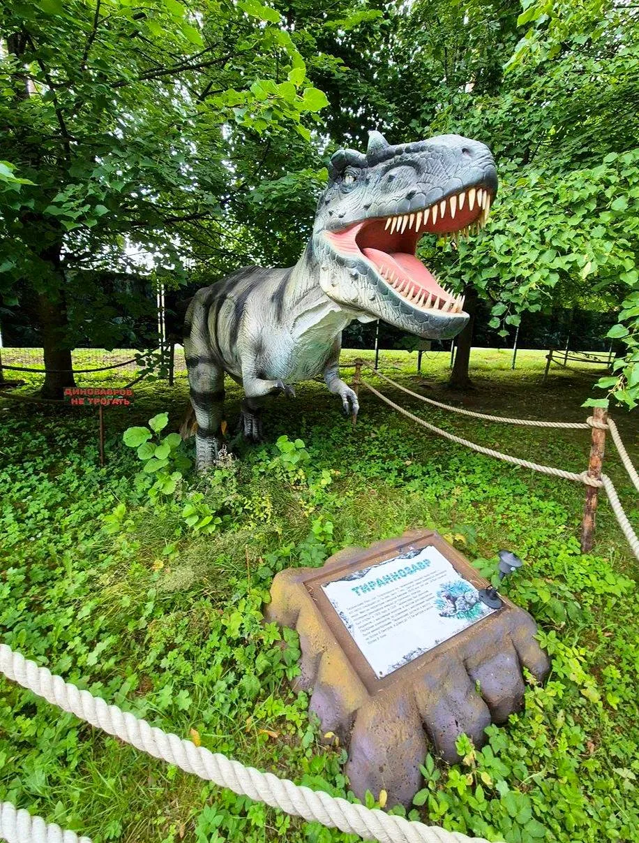 🌿 Зеленогорский парк у Финского залива — место для отдыха на весь день