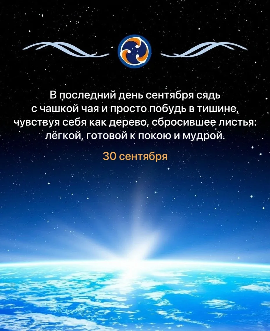 Тишина как дерево 🍵